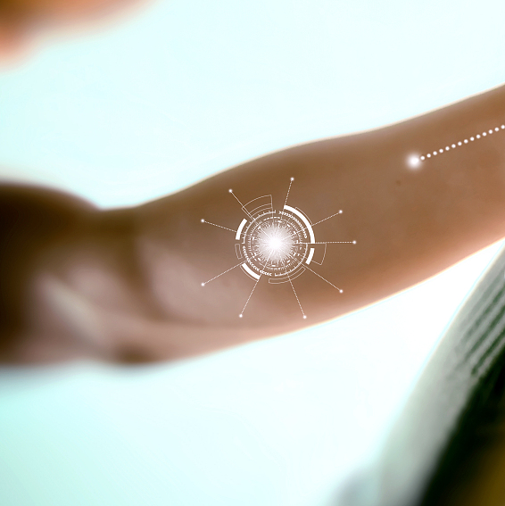 白山市特色产业协会 企业名录